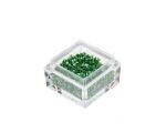 Crushed shell dark green