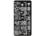 Aphro Nails nail stamping plate Flowery Field BC19