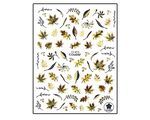 Nail sticker Forest Leafs CJ013