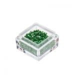 Crushed shell dark green