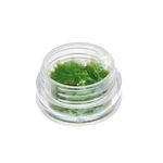 Nail mylar green