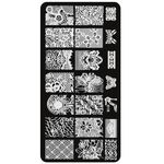 Aphro Nails nail stamping plate Blossom Time BC09