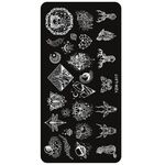 Aphro Nails nail stamping plate Astronomy YZW-L17