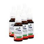 Pedi Planet ingrown nail care oil PACKAGE 6x20ml