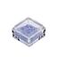 Crushed shell light purple