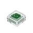 Crushed shell dark green