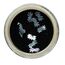 Nail art shell leaf Hedgehog