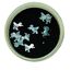 Nail art shell leaf Bird
