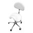 Calypso gas spring salon chair