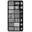 Aphro Nails nail stamping plate Ornamental BC07