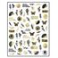 Nail sticker Beautiful Flowers CJ012