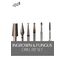 Pedi Planet Ingrown & Fungus drill cutter set 6pcs